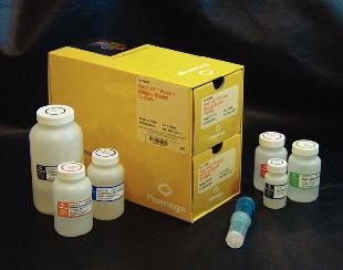 promega purification nucleic larger