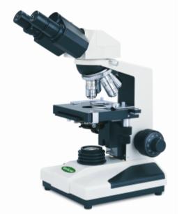 Compound Microscope