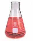 Erlenmeyer Flasks