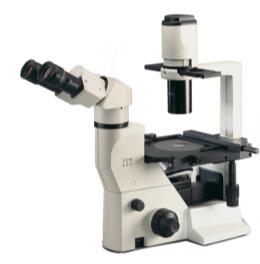 LABOMED TCM400 COMPOUND MICROSCOPE(BIOSCIENCES)
