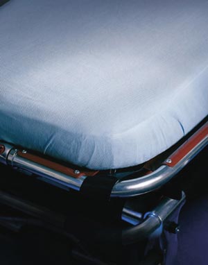 GRAHAM PROFESSIONAL PREMIUM STRETCHER SHEETS