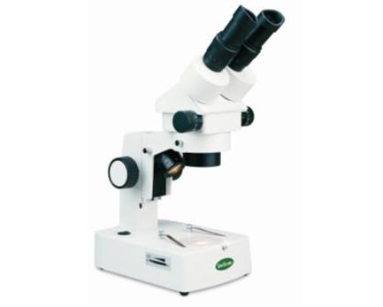 Stereo Microscope